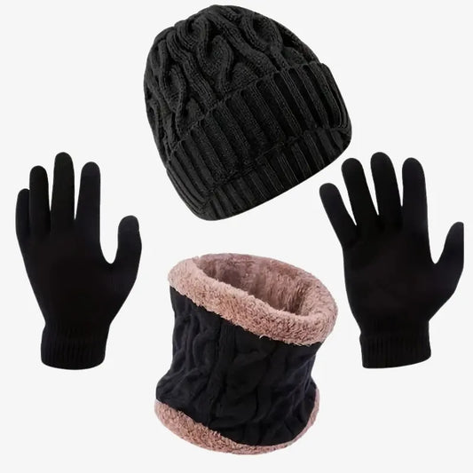 Ensemble Arctic Noir