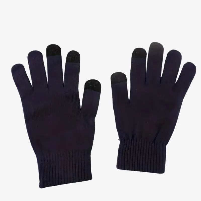 Ensemble Arctic Noir