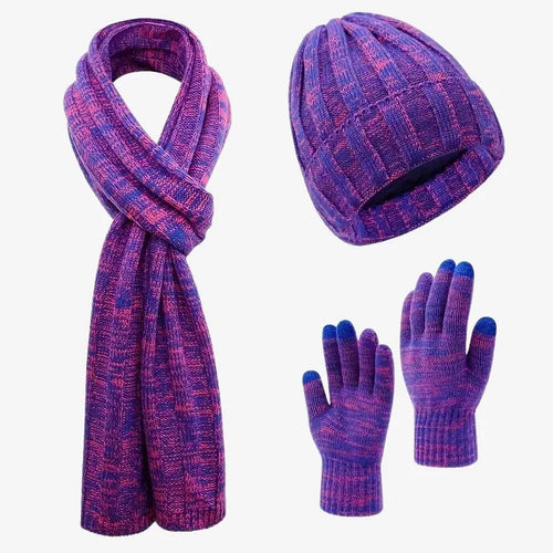 Ensemble Hivernal Aurora